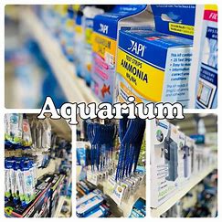 Aquarium Accessories