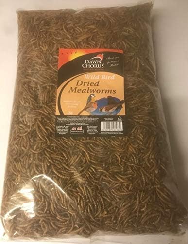 Wild Bird Dried Mealworms 1kg Bulk Bag