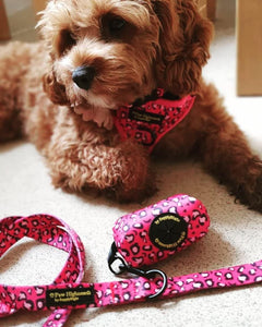Paw Highness Dog Walking Harness, Collar, Leash & Poo Bag Holder Set in Pretty In Pink Large