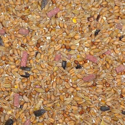 Dawn Chorus 12.55 kg Original Flavour Wild Bird Seed Mix