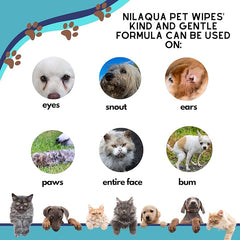 Nilaqua Pets Biodegradable Cleansing Pet Wipes in Coconut x 3 Packs | Deodourising, Alcohol Free and Vegan Friendly | for ALL Kinds of Pets Dogs Cats | 50 Dog Wipes each pack | 150 Wipes Total