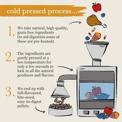 Forthglade Dry Dog Food, Cold Pressed, (2kg Resealable Bag), Turkey with Vegetables, Hypoallergenic Dog Food, Grain Free Complete Meal, Natural Senior, Adult and Puppy Dry Dog Food