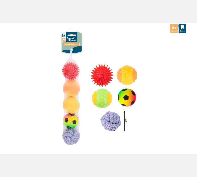 Mixed Ball Dog Toys 5 Pack