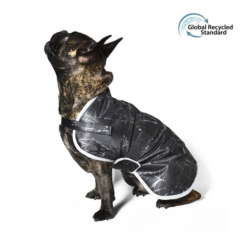 French bulldog wearing the OHANA ECO black quilted dog coat with white trim, Global Recycled Standard certified