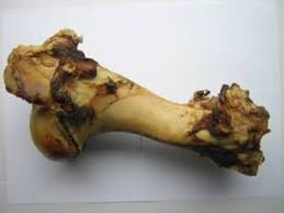 Roast Whole Bone (Jurassic) Dog Treats